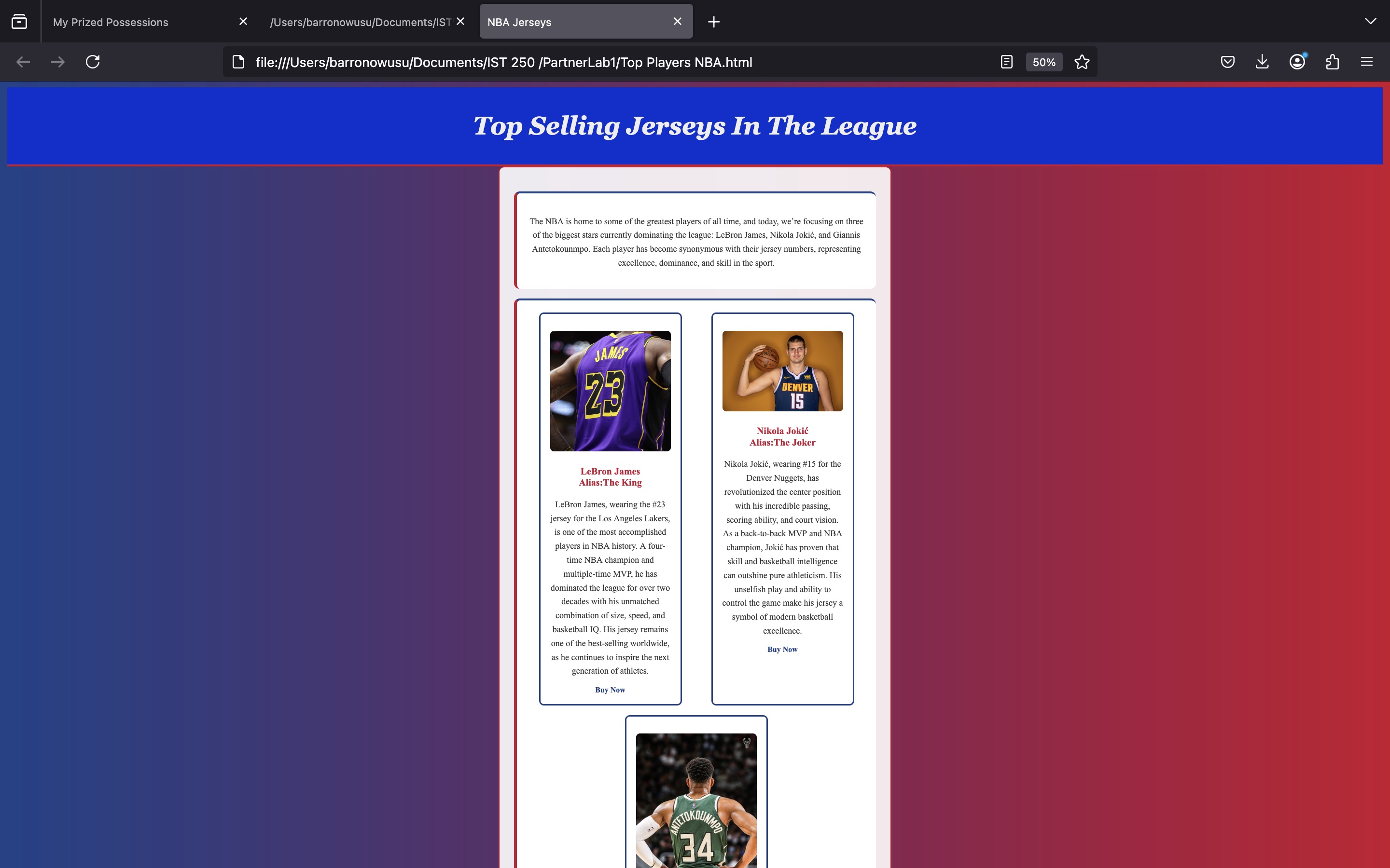 Partner Lab 1 Screenshot